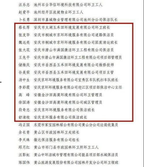 岳西最新爆料新闻事件,重大事件引发社会关注，真相即将揭晓！