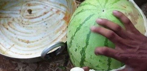 吃瓜网菜网红视频,揭秘热门美食背后的制作秘诀 第3张 吃瓜网菜网红视频,揭秘热门美食背后的制作秘诀 第3张