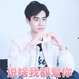 胡一天表情包新闻爆料,揭秘明星网络效应背后的真相